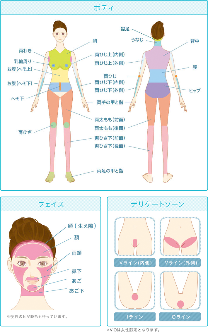 【ボディ】襟足、うなじ、背中、腰、ヒップ、胸、両わき、乳輪周り、お腹（へそ上）、お腹（へそ下）、へそ下、胸、両ひじ上（内側）、両ひじ上（外側）、両ひじ、両ひじ下（内側）、両ひじ下（外側）、両手の甲と指、両太もも（前面）、両太もも（後面）、両ひざ下（前面）、両ひざ下（後面）、両ひざ、両足の甲と指　【フェイス】額（生え際）、額、両頬、鼻下、あご、あご下 ※男性のヒゲ脱毛も行っています。　【デリケートゾーン】Vライン（内側）、Vライン（外側）、Iライン、Oライン ※VIOは女性限定となります。