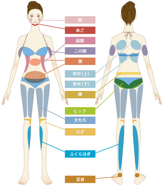 頬、あご、脇腹、二の腕、腹、背中(上)、背中(下)、腰、ヒップ、太もも、ひざ、ふくらはぎ、足首