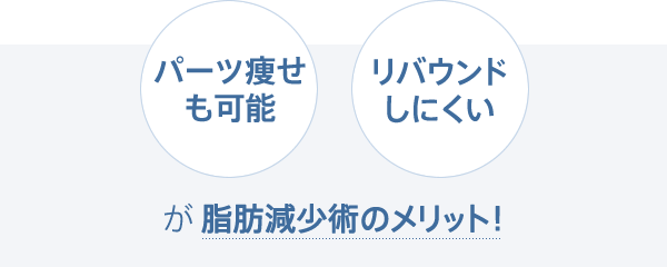 パーツ痩せも可能 リバウンドしにくい が脂肪減少術のメリット！