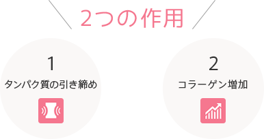 2つの作用　1.タンパク質の引き締め　2.コラーゲン増加