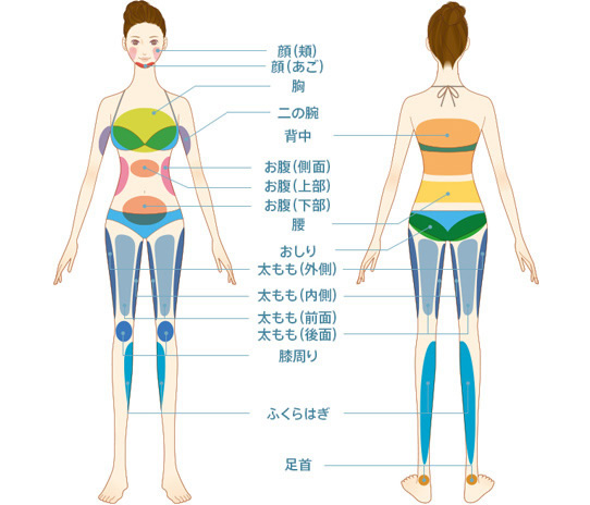 顔(頬) 顔(あご) 胸 二の腕 背中 お腹(側面) お腹(上部) お腹(下部) 腰 おしり 太もも(外側) 太もも(内側) 太もも(前面) 太もも(後面) 膝周り ふくらはぎ 足首