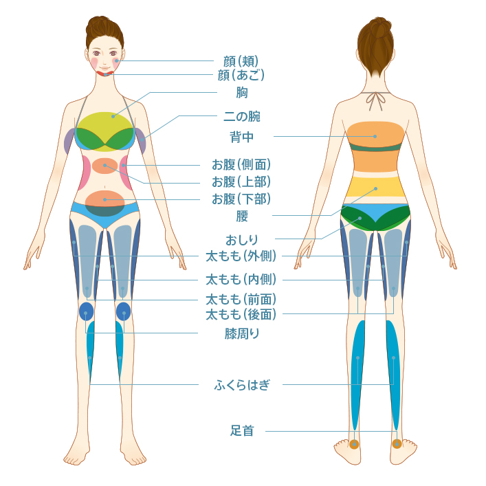 適応部位：顔（頬）、顔（あご）、胸、二の腕、背中、お腹（側面）、お腹（上部）、お腹（下部）、腰、おしり、太もも（外側）、太もも（内側）、太もも（前面）、太もも（後面）、膝周り、ふくらはぎ、足首