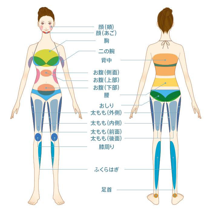 顔(頬) 顔(あご) 胸 二の腕 背中 お腹 (側面) お腹 (上部) お腹 (下部) 腰 おしり 太もも(外側) 太もも(内側) 太もも(前面) 太もも(後面) 膝周り ふくらはぎ 足首