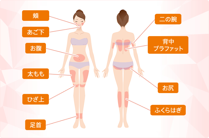 頬、あご下、お腹、太もも、ひざ上、足首、二の腕、背中、ブラファット、お尻、ふくらはぎ