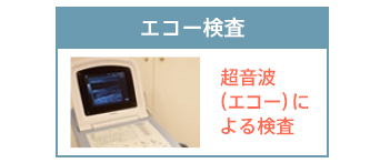 エコー検査 超音波（エコー）による検査