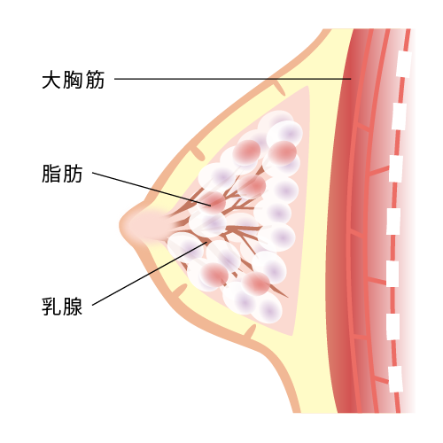 原因