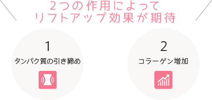 2つの作用によってリフトアップ効果が期待 1 タンパク質の引き締め 2 コラーゲン増加