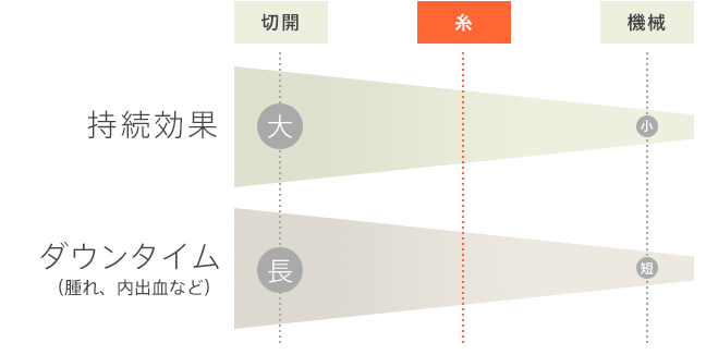 持続効果 ダウンタイム（腫れ、内出血など）