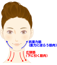 ネフェルティティリフト