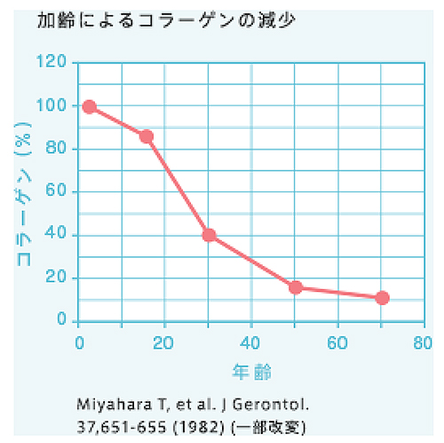 コラーゲンが減っていく様子