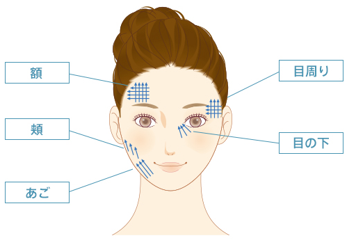 額、目周り、目の下、頬、あご