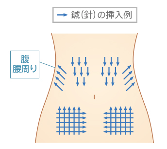 腹、腰回り