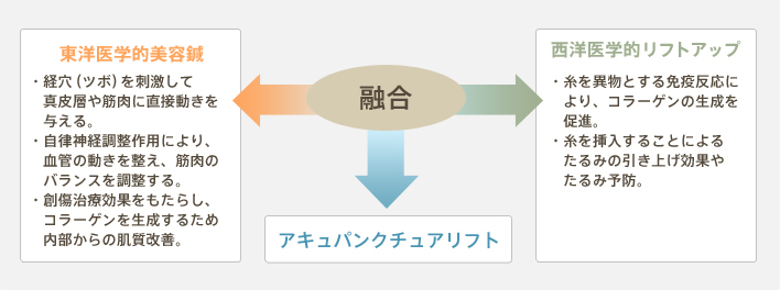 アキュパンクチュアリフトは東洋医学的美容鍼と西洋医学的リフトアップが融合したエイジングケアです。【東洋医学的美容鍼】・経穴（ツボ）を刺激して真皮層や筋肉に直接動きを与える。・自律神経調整作用により、血管の動きを整え、筋肉のバランスを調整する。・創傷治療効果をもたらし、コラーゲンを生成するため内部からの肌質改善。【西洋医学的リフトアップ】・糸を異物とする免疫反応により、コラーゲンの生成を促進。・糸を挿入することによるたるみの引き上げ効果やたるみ予防。