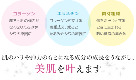 コラーゲン 減ると肌の弾力がなくなりたるみやシワの原因に エラスチン コラーゲンを支える遷移成分。減るとたるみやシワの原因に 肉芽組織 傷を治そうとするときに生まれる若い細胞の集合体 肌のハリや弾力のもとになる成分の成長をうながし、美肌を叶えます　肌の針や弾力のもとになる成分の成長を促し、美肌を叶えます