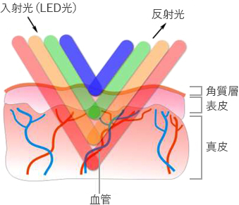 高度な光技術による肌分析