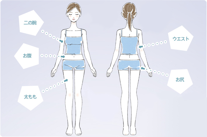 二の腕、お腹、太もも、ウエスト、お尻