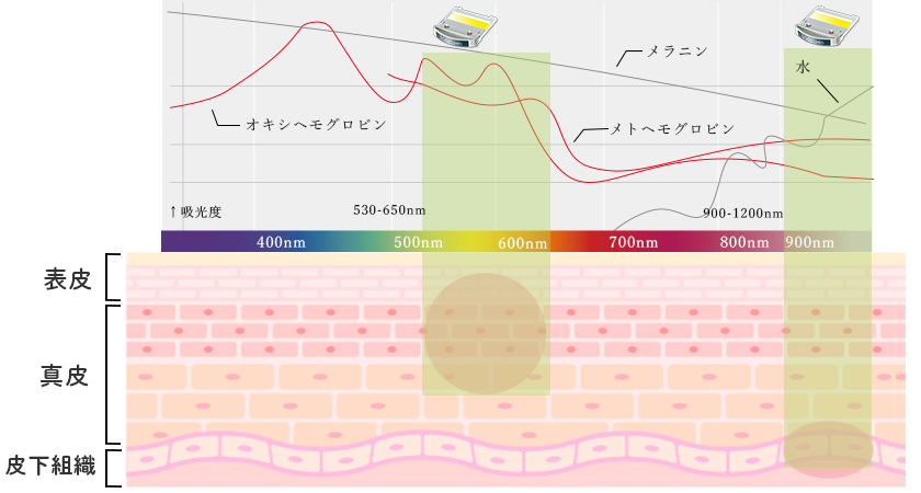 血管病変（赤み）への作用の図