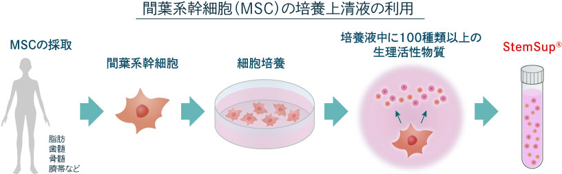 「エクソソーム」を豊富に含んだ幹細胞培養上清液「ステムサップ（StemSup™）」