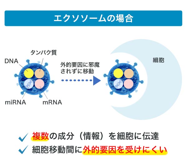 エクソソームの場合 ・複数の成分（情報）を細胞に伝達 ・細胞移動間に外的要因を受けにくい