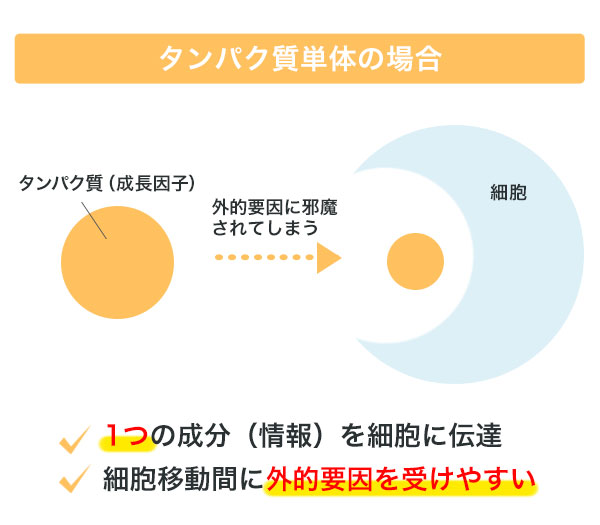 タンパク質単体の場合 ・1つの成分（情報）を細胞に伝達 ・細胞移動間に外的要因を受けやすい