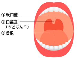 正面から見た図