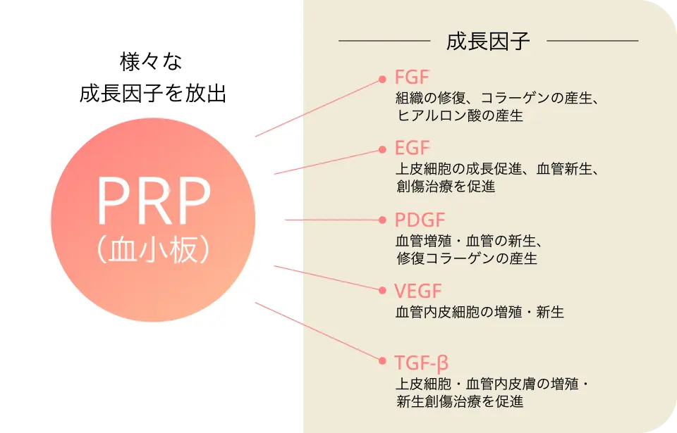 PRP血小板